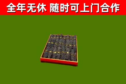 晋中烟酒回收海参.jpg